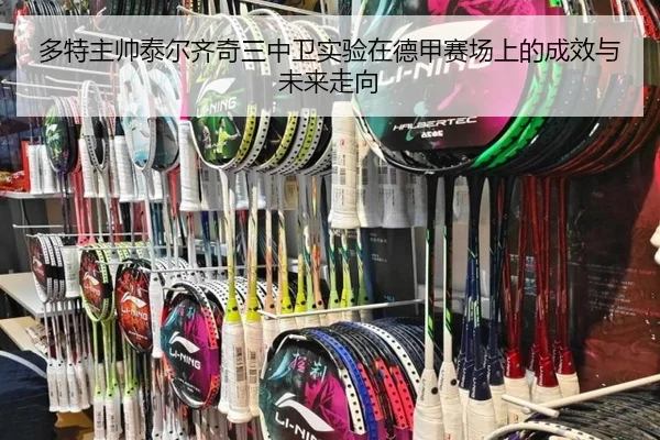 多特主帅泰尔齐奇三中卫实验在德甲赛场上的成效与未来走向